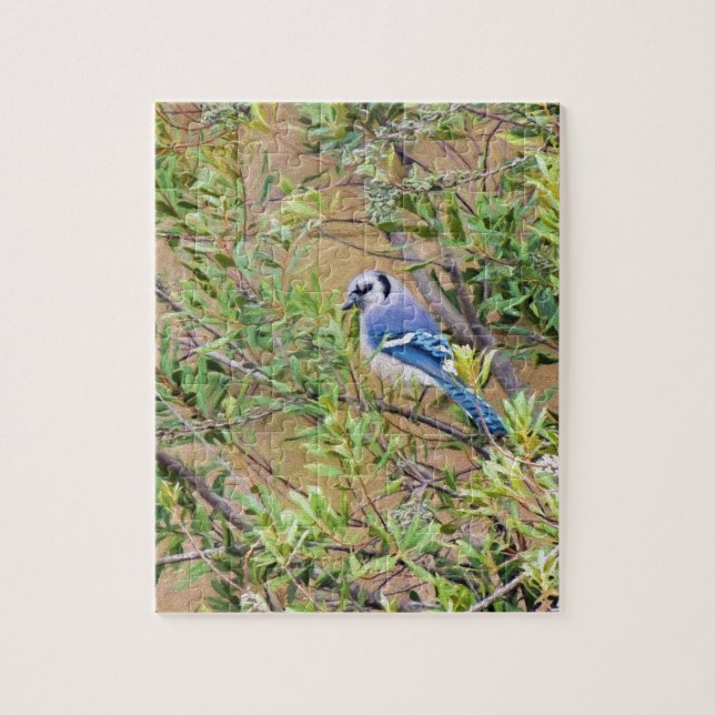 Puzzle Jay azul en Southern Wax Myrtle (Vertical)