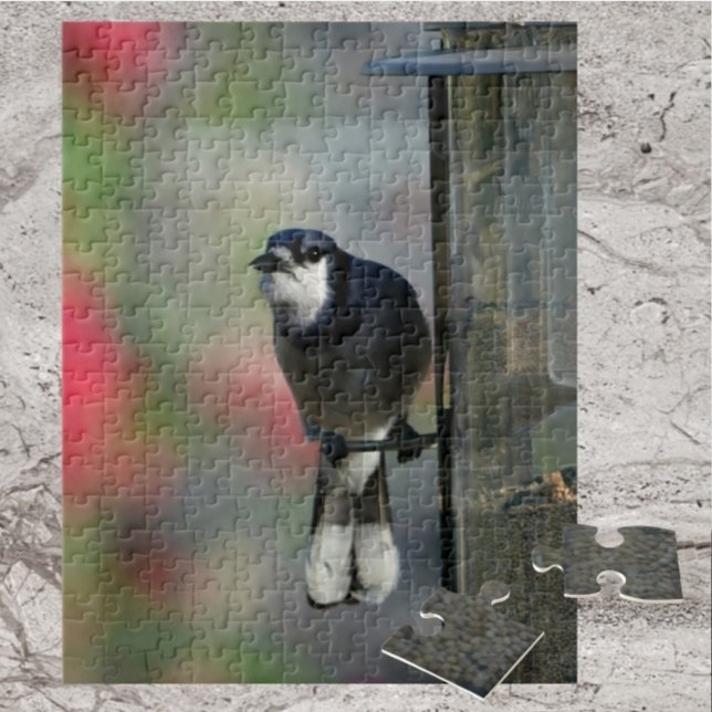 Puzzle Jay azul encarnado en el pájaro fotográfico del al (Subido por el creador)