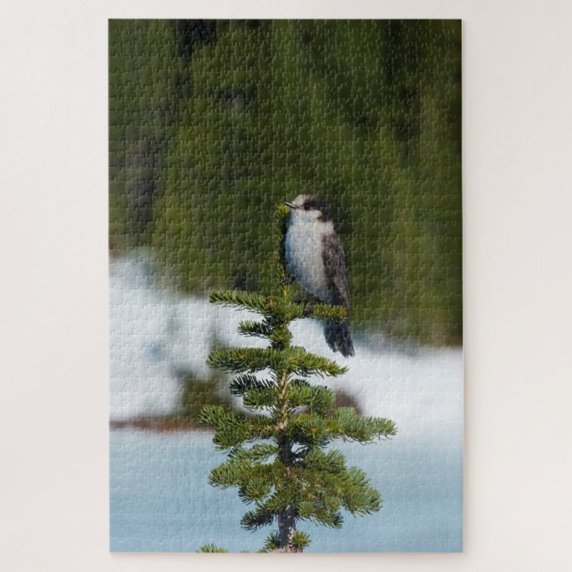 Puzzle Jay de Canadá (Vertical)