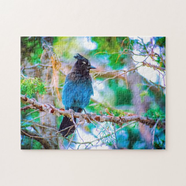Puzzle Jay de Steller - Fotografía original (Horizontal)