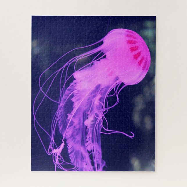 Puzzle Jelly Fish (Vertical)