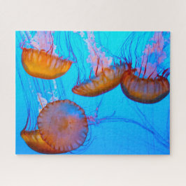 Puzzle Jelly Fish
