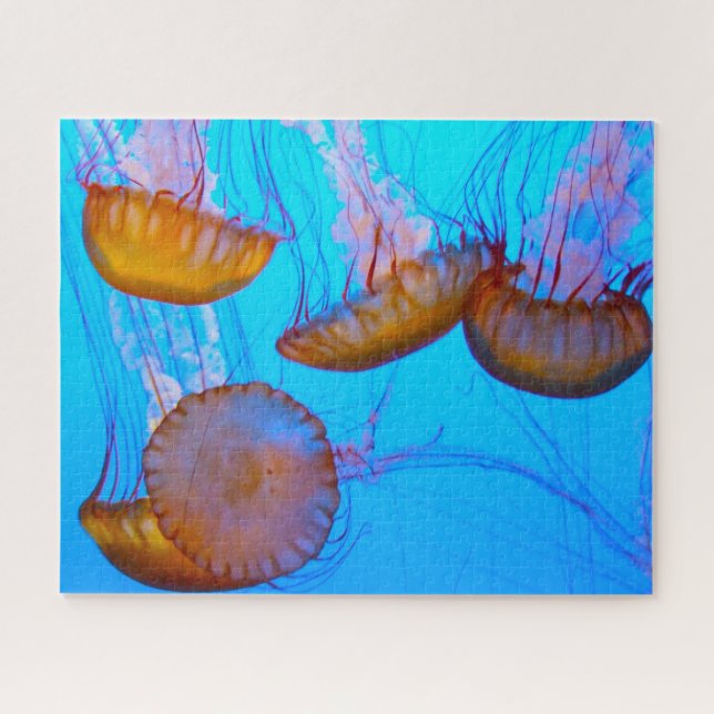 Puzzle Jelly Fish (Horizontal)