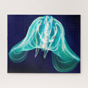 Puzzle Jelly Fish