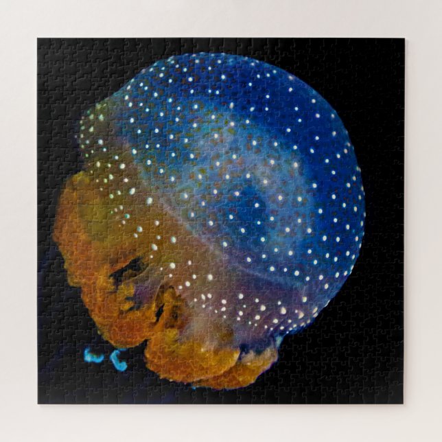 Puzzle Jelly Fish (Horizontal)