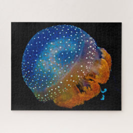 Puzzle Jelly Fish