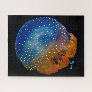 Puzzle Jelly Fish