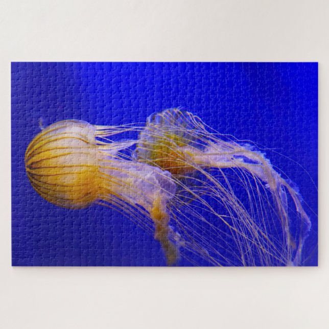 Puzzle Jelly Fish (Horizontal)