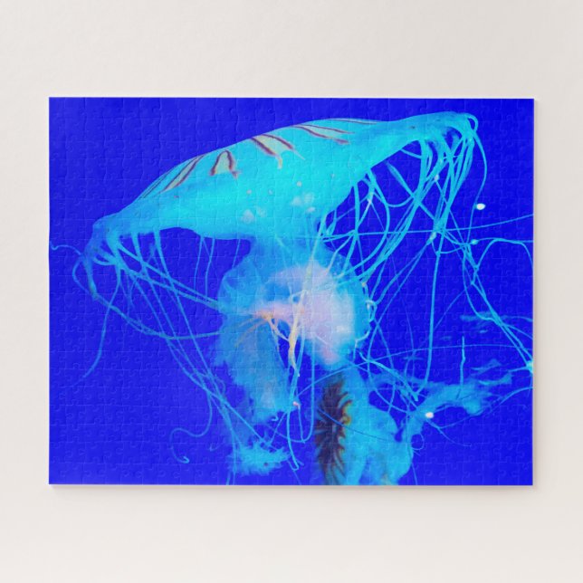 Puzzle Jelly Fish (Horizontal)