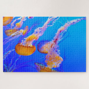 Puzzle Jelly Fish