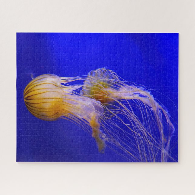 Puzzle Jelly Fish (Horizontal)