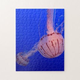 Puzzle Jellyfish