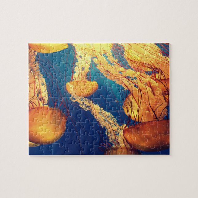 Puzzle Jellyfish (Horizontal)