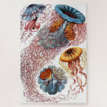 Puzzle Jellyfish (Scheibenquallen) por Ernst Haeckel<br><div class="desc">Por favor visite mi tienda para un diseño más interesante y más elección de color. => zazzle.com/colorfulworld*</div>