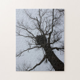 Puzzle Jerarquía negra del arroyo