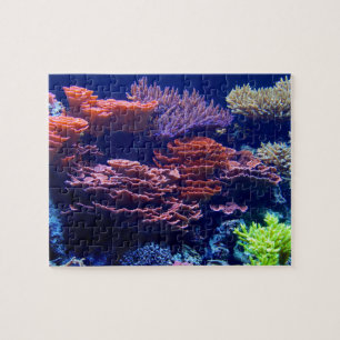 Puzzle Jigsaw, hermosa escena submarina colorida