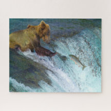 Jigsaw Kodiak osos marrones pescando.