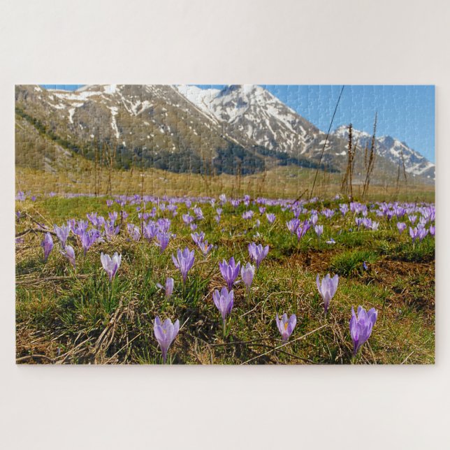 Puzzle Jigsaws Crocuses Abruzzo Gran Sasso Italia. (Horizontal)