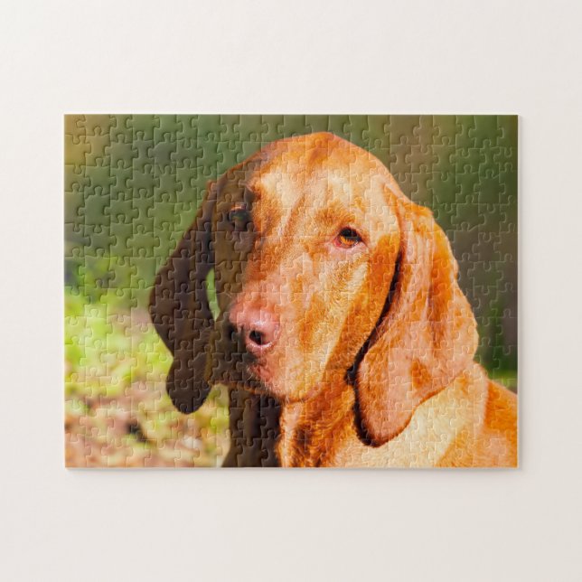 Puzzle Jigsaws de perro de Vizla húngara. (Horizontal)