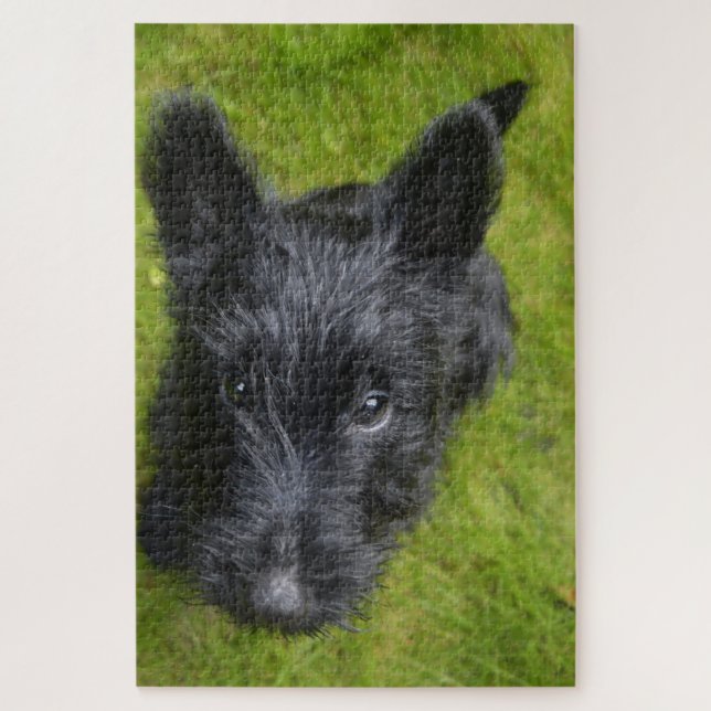 Puzzle Jigsaws de Scottish Terrier. (Vertical)