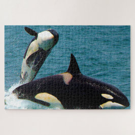 Puzzle Jigsaws Orcas o Ballenas Asesinas