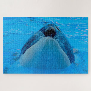 Puzzle Jigsaws Orcas o Ballenas Asesinas
