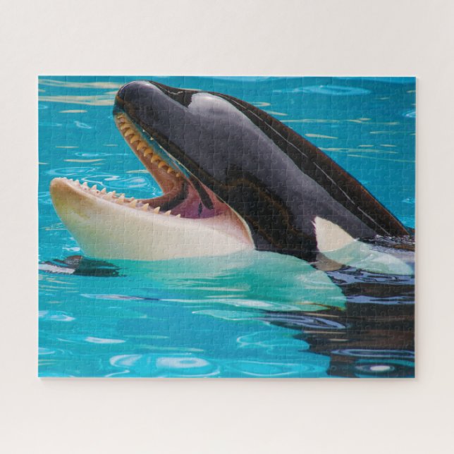 Puzzle Jigsaws Orcas o Ballenas Asesinas (Horizontal)