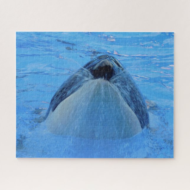 Puzzle Jigsaws Orcas o Ballenas Asesinas (Horizontal)