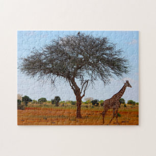 Puzzle Jirafa africana.