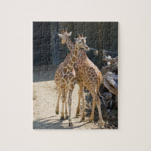 Puzzle jirafas