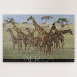 Puzzle jirafas africanas