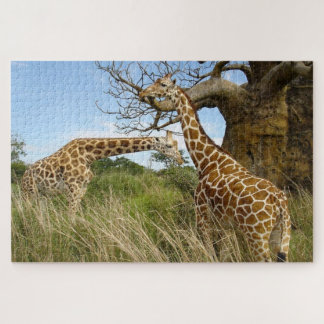 Puzzle jirafas afuera en el campo africano por algunos ár