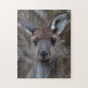 Puzzle Joey Cute Australian Kangaroo, 252 piezas