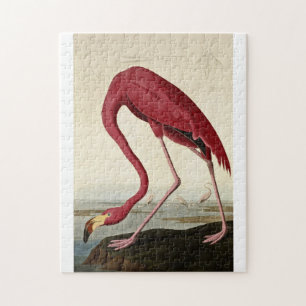 Puzzle John James Audubon - Flamingo Americano
