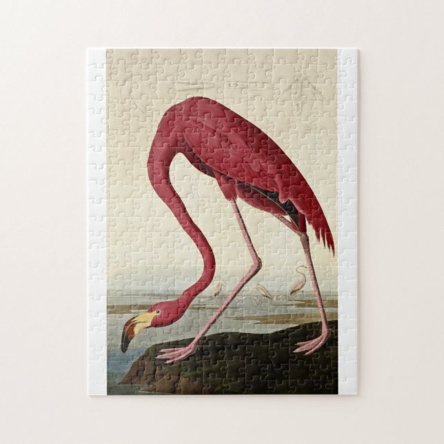 Puzzle John James Audubon - Flamingo Americano (Vertical)