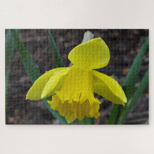 Puzzle Jonquil en primavera