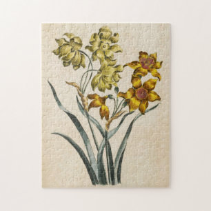 Puzzle Jonquil florero botánico vintage