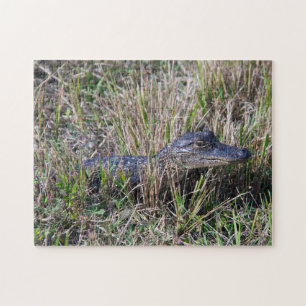 Puzzle Joven caimán en hierba de pantano Naturaleza vida