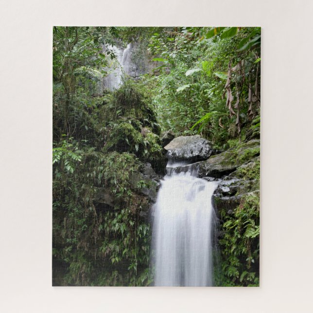 Puzzle Juan Diego Falls (Vertical)