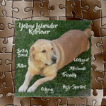 Puzzle Juego de los rasgos de recuperación de Labrador am<br><div class="desc">¡El hermoso rompecabezas tiene un Labrador Recuperador amarillo,  un perro popular en Estados Unidos! ¡Les encanta el agua,  recuperándose,  corriendo y jugando! Algunos de sus rasgos son salientes,  activos,  afectuosos con la familia,  de alto espíritu y más. El Labrador Recuperador es una raza británica.</div>