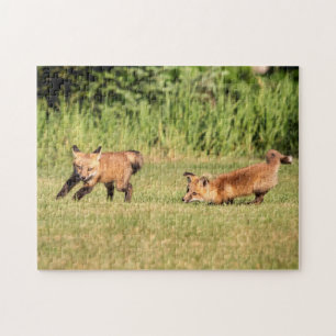 Puzzle Juego de Red Fox Kits