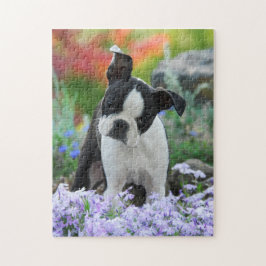 Puzzle Juego lindo 11x14 del perrito del perro de Boston