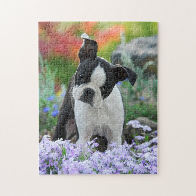 Puzzle Juego lindo 11x14 del perrito del perro de Boston (Vertical)