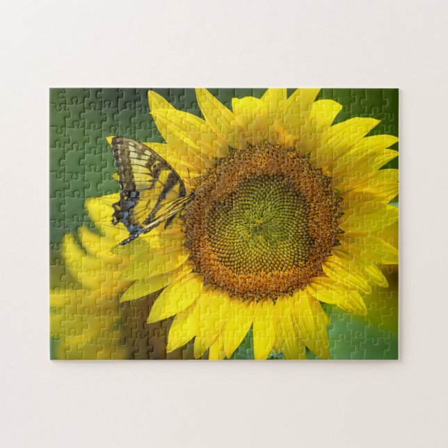 Puzzle Juego Puzzle-Butterfly Sunflowers (Horizontal)