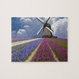Puzzle Juego Puzzle-Field de los jacintos