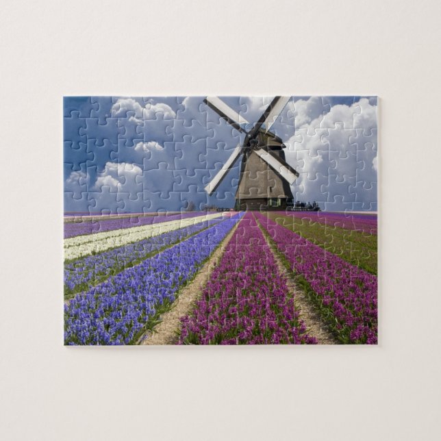 Puzzle Juego Puzzle-Field de los jacintos (Horizontal)