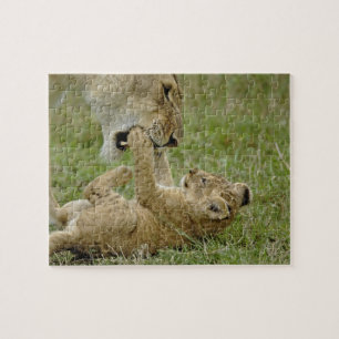 Puzzle Jugando Lion Cub