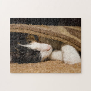 Puzzle Jugar bajo la alfombra