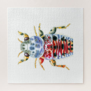 Puzzle Jumping Plant Louse 060824IREF212 - Watercolor