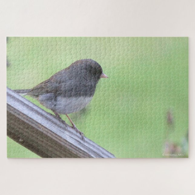 Puzzle Junco de ojos oscuros (Horizontal)